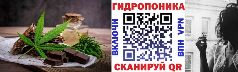 Canna-Cookies марихуана  Кизел 