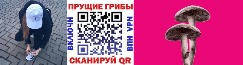 hydra как войти  Кизел  Псилоцибиновые грибы мухоморы  наркота 